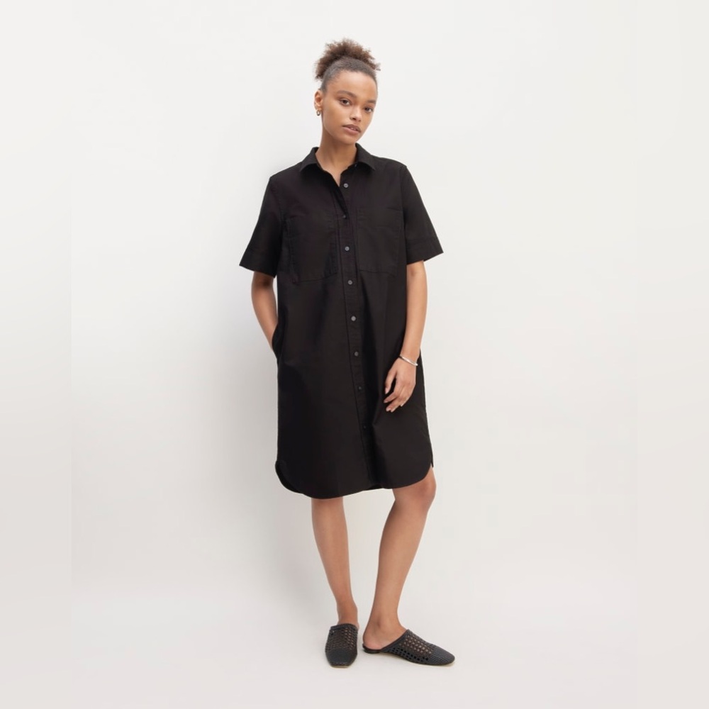 Everlane Black Shirt Dress